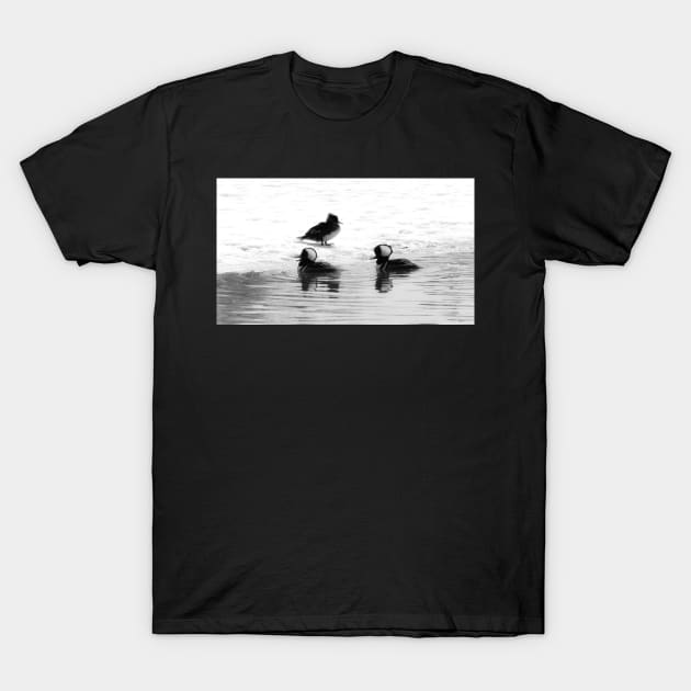 Hooded Mergansers T-Shirt by CanadianWild418